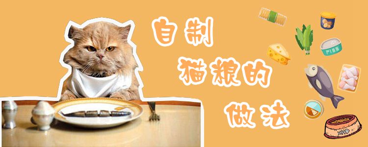 自制貓糧的做法