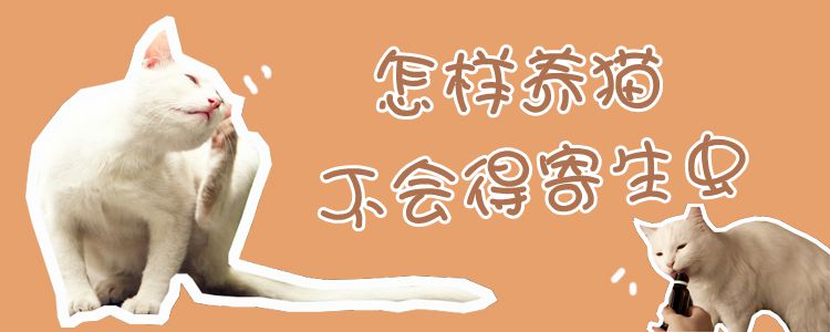 怎樣養貓不會得寄生蟲