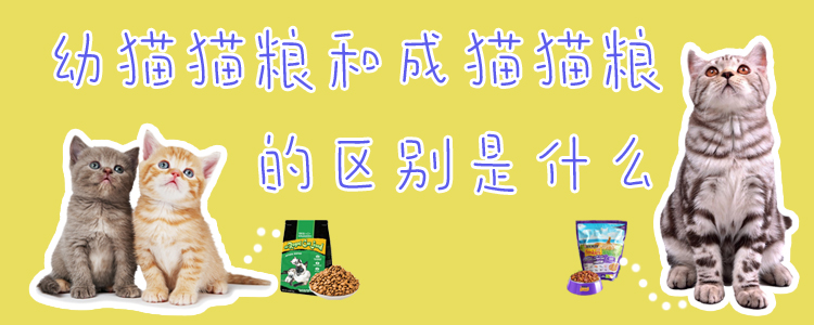 幼貓貓糧和成貓貓糧的區別是什么