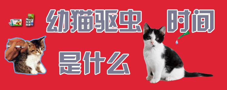 幼貓驅蟲時間是什么