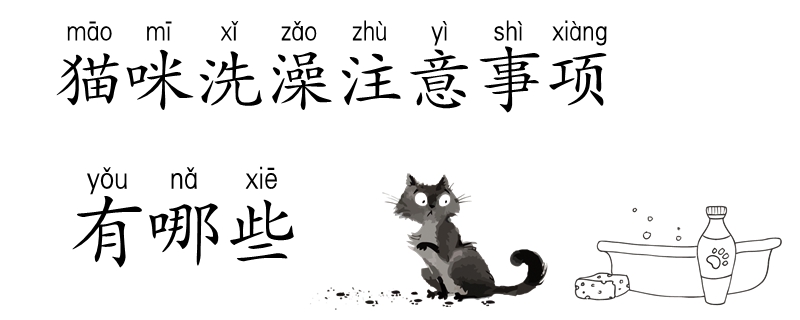 貓咪洗澡注意事項(xiàng)有哪些