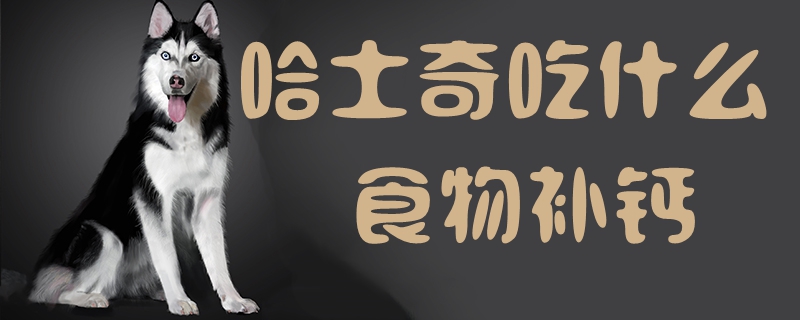 哈士奇吃什么食物補(bǔ)鈣1
