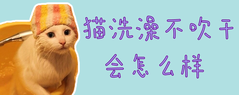 貓洗澡不吹干會(huì)怎么樣