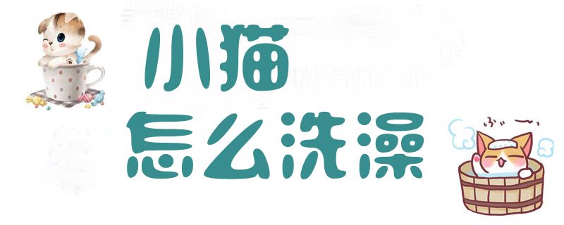 小貓怎么洗澡1