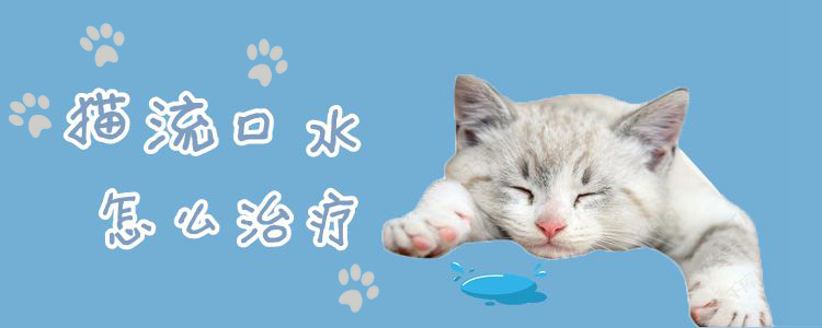 貓流口水怎么治療