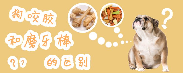 狗咬膠和磨牙棒的區別