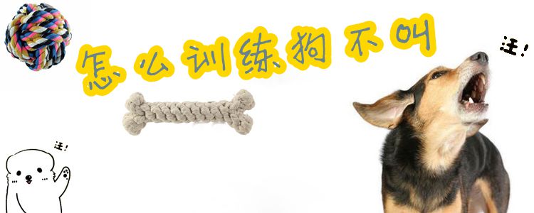 怎么訓練狗不叫