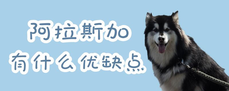 阿拉斯加有什么優缺點
