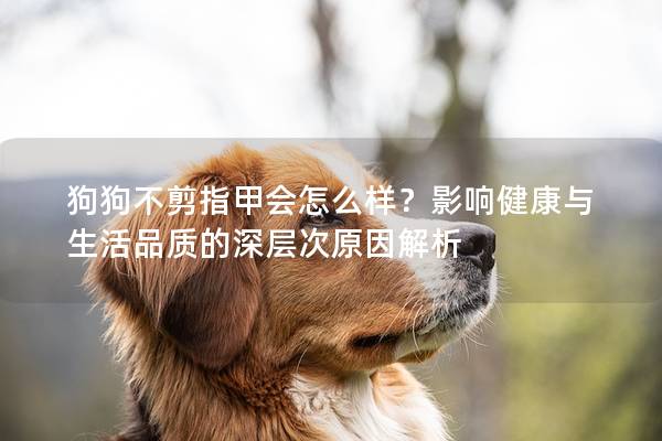 狗狗不剪指甲會怎么樣？影響健康與生活品質的深層次原因解析