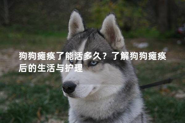 狗狗癱瘓了能活多久？了解狗狗癱瘓后的生活與護(hù)理