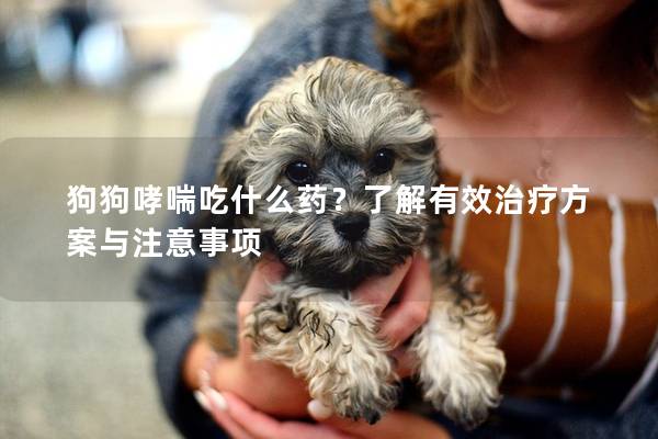狗狗哮喘吃什么藥？了解有效治療方案與注意事項(xiàng)