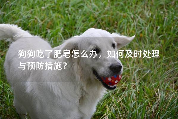 狗狗吃了肥皂怎么辦，如何及時處理與預防措施？