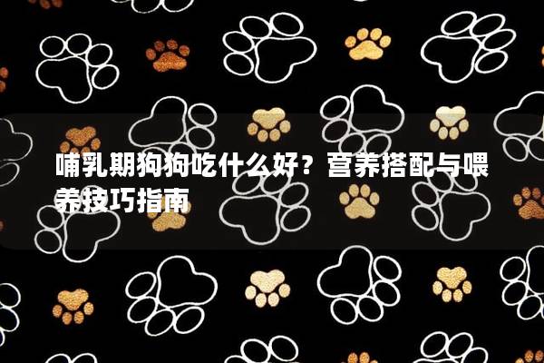 哺乳期狗狗吃什么好?營養搭配與喂養技巧指南 哺乳期狗狗吃什么好?營養搭配與喂養技巧指南