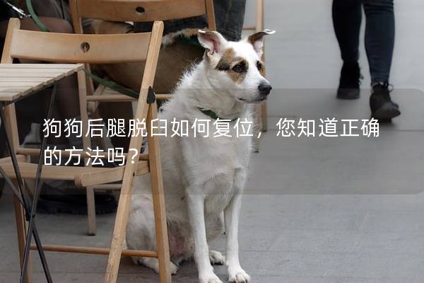 狗狗后腿脫臼如何復(fù)位，您知道正確的方法嗎？