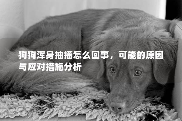 狗狗渾身抽搐怎么回事，可能的原因與應對措施分析