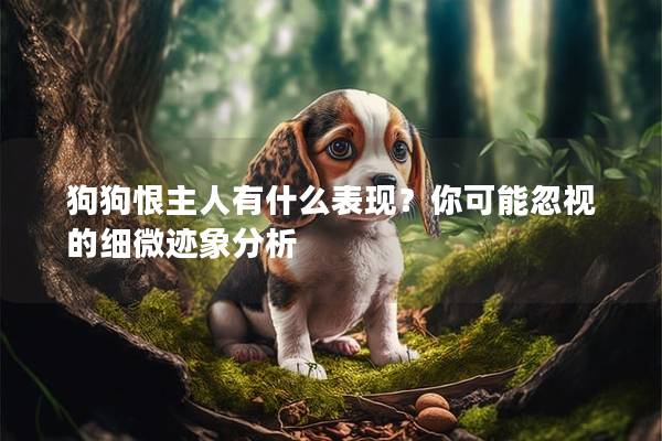狗狗恨主人有什么表現？你可能忽視的細微跡象分析