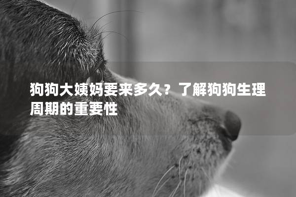 狗狗大姨媽要來多久？了解狗狗生理周期的重要性