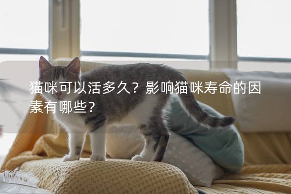 貓咪可以活多久？影響貓咪壽命的因素有哪些？