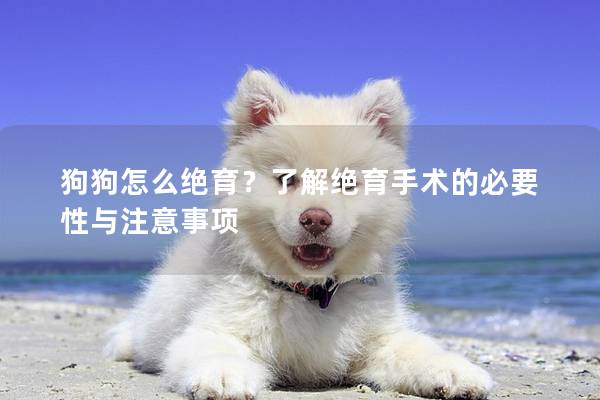 狗狗怎么絕育？了解絕育手術(shù)的必要性與注意事項(xiàng)