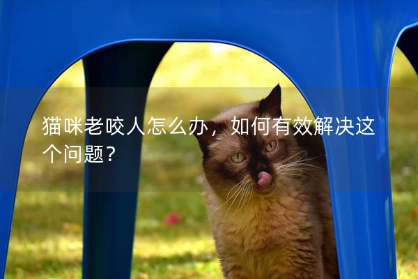 貓咪老咬人怎么辦，如何有效解決這個(gè)問題？