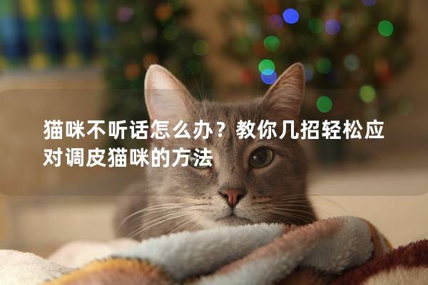 貓咪不聽話怎么辦？教你幾招輕松應(yīng)對(duì)調(diào)皮貓咪的方法