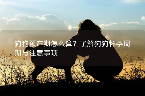 狗狗預產期怎么算?了解狗狗懷孕周期與注意事項 狗狗預產期怎么算?了解狗狗懷孕周期與注意事項