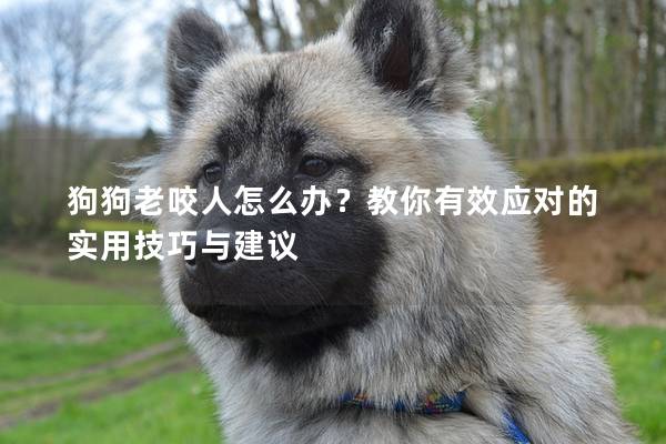 狗狗老咬人怎么辦？教你有效應對的實用技巧與建議