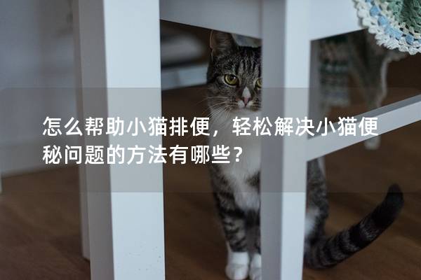 怎么幫助小貓排便，輕松解決小貓便秘問題的方法有哪些？