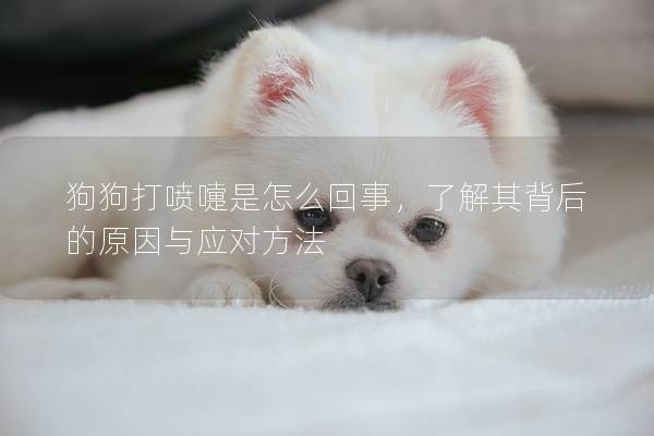 狗狗打噴嚏是怎么回事，了解其背后的原因與應(yīng)對(duì)方法