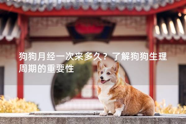 狗狗月經(jīng)一次來多久？了解狗狗生理周期的重要性