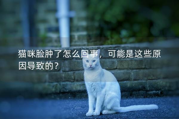 貓咪臉腫了怎么回事，可能是這些原因?qū)е碌模?></em><p>貓咪臉腫了怎么回事，可能是這些原因?qū)е碌模?/p><span>2024-11-26</span></a></li> 
                                            </ul>
                                        </div>

                                        <div   id=