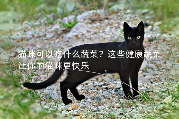 貓咪可以吃什么蔬菜？這些健康蔬菜讓你的貓咪更快樂
