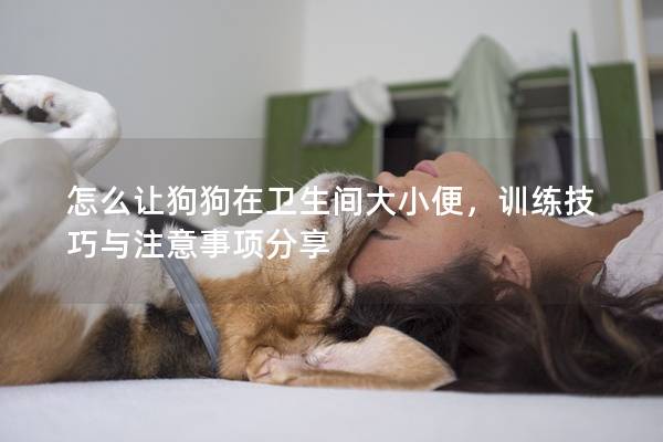 怎么讓狗狗在衛(wèi)生間大小便，訓(xùn)練技巧與注意事項分享