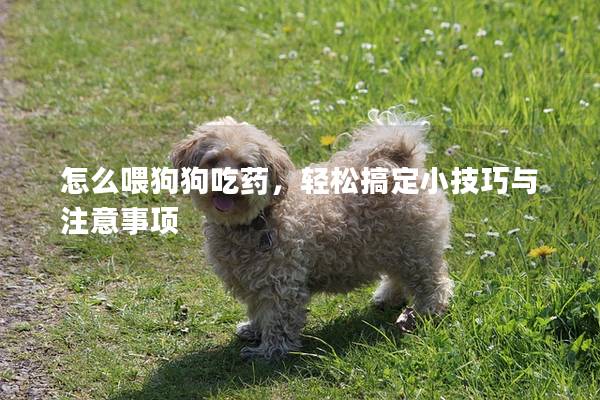 怎么喂狗狗吃藥，輕松搞定小技巧與注意事項(xiàng)