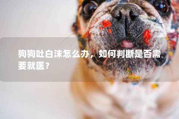 狗狗吐白沫怎么辦，如何判斷是否需要就醫？