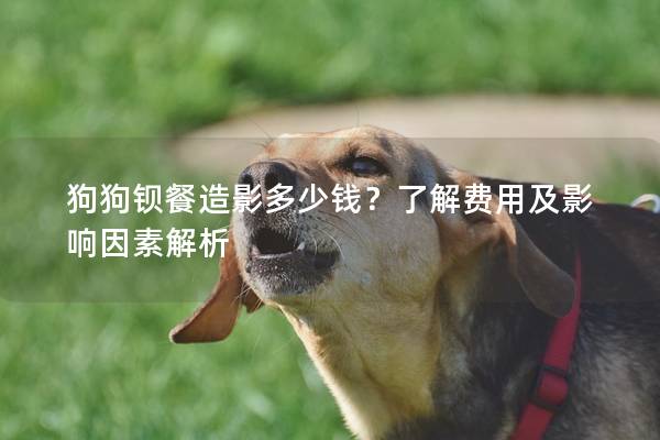 狗狗鋇餐造影多少錢？了解費用及影響因素解析