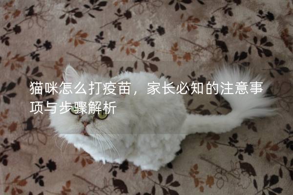 貓咪怎么打疫苗，家長必知的注意事項與步驟解析