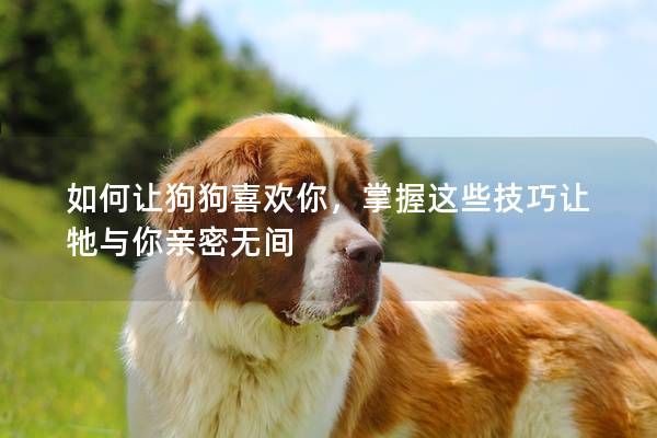 如何讓狗狗喜歡你，掌握這些技巧讓牠與你親密無(wú)間