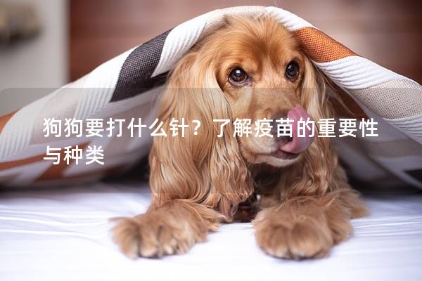 狗狗要打什么針？了解疫苗的重要性與種類(lèi)