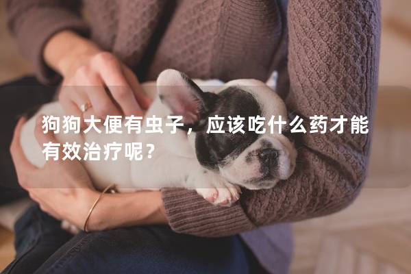 狗狗大便有蟲子，應該吃什么藥才能有效治療呢？