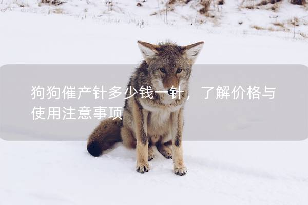 狗狗催產(chǎn)針多少錢(qián)一針，了解價(jià)格與使用注意事項(xiàng)