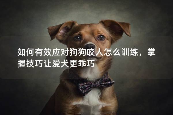 如何有效應對狗狗咬人怎么訓練，掌握技巧讓愛犬更乖巧