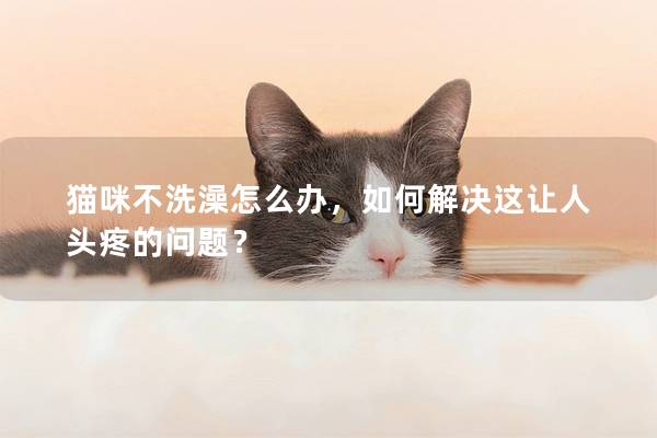 貓咪不洗澡怎么辦，如何解決這讓人頭疼的問(wèn)題？