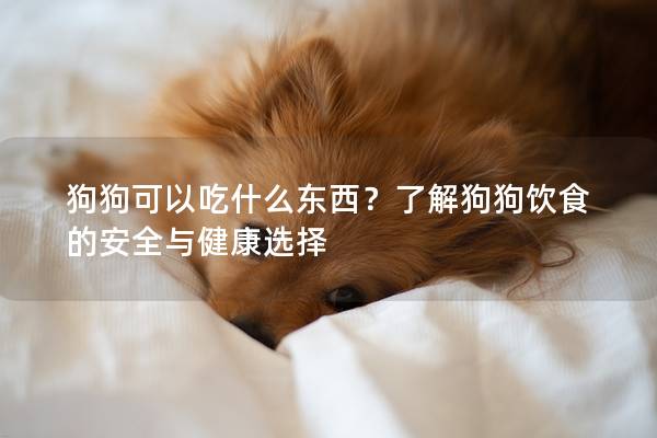 狗狗可以吃什么東西？了解狗狗飲食的安全與健康選擇