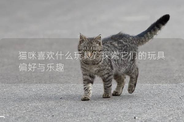 貓咪喜歡什么玩具？探索它們的玩具偏好與樂(lè)趣