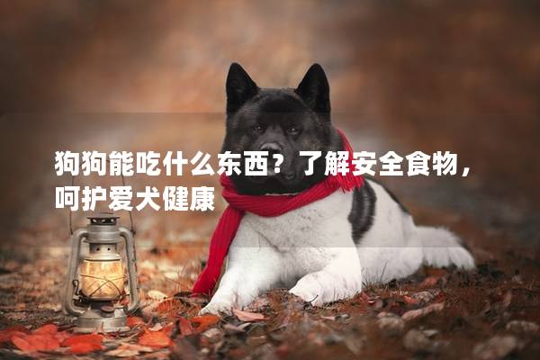 狗狗能吃什么東西？了解安全食物，呵護愛犬健康
