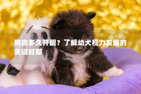 狗狗多久開眼？了解幼犬視力發(fā)展的關鍵時期