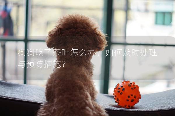 狗狗吃了茶葉怎么辦，如何及時處理與預防措施？