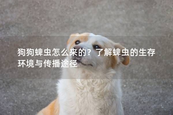 狗狗蜱蟲怎么來的？了解蜱蟲的生存環境與傳播途徑