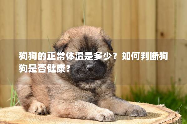 狗狗的正常體溫是多少？如何判斷狗狗是否健康？